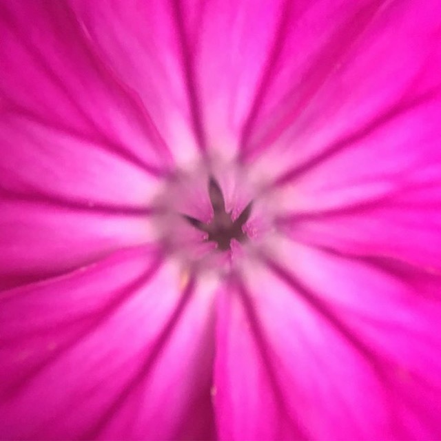 Qxj9MTowCWWF6YtmCqFowHfUvQbwIw6sdC2g70k8.jpeg