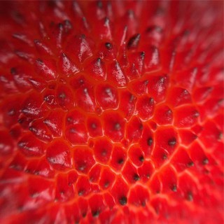 hSPVTLCHeJh8Hbv4bKrQFF8wnH1WXanh2KeZo4eR.jpeg